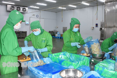 Một số giải pháp tập trung phát triển kinh tế - xã hội