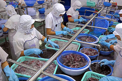 Doanh nghiệp chế biến, xuất khẩu thủy sản đói nguyên liệu những tháng cuối năm