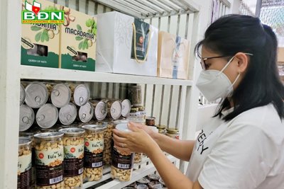 Nông nghiệp và yêu cầu chuyển đổi số