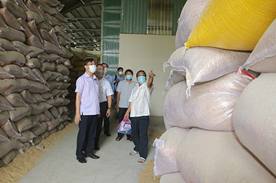 Hiệu quả kinh tế tập thể