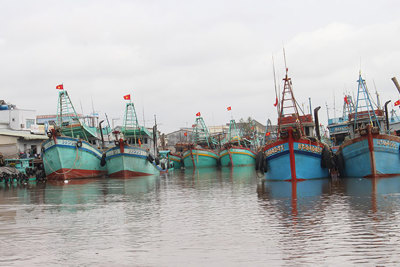 Giá dầu tăng cao, đánh bắt thủy sản gặp khó khăn