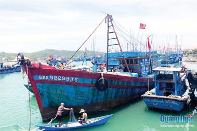 Siết chặt đăng kiểm và quản lý tàu cá