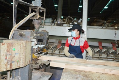 Ngành gỗ tăng trưởng bứt phá 