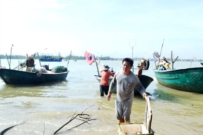 Khai thác có thời hạn để bảo vệ nguồn lợi
