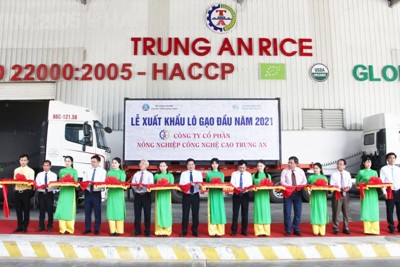 Doanh nghiệp tại TP. Cần Thơ tiếp tục trúng thầu bán 15.000 tấn gạo cho Hàn Quốc