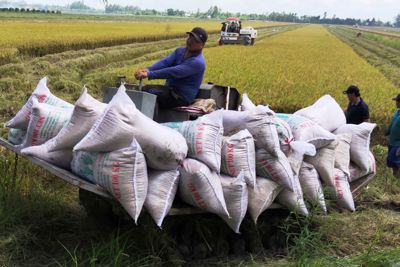 Phát triển nông nghiệp, nâng cao thu nhập người dân nông thôn
