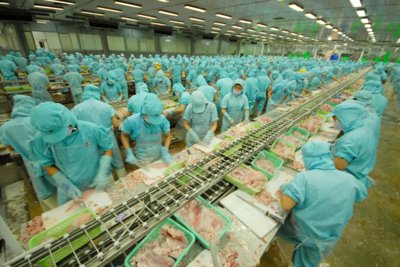 Cổ phiếu lập đỉnh mới khi thị trường xuất khẩu thủy sản phục hồi ấn tượng