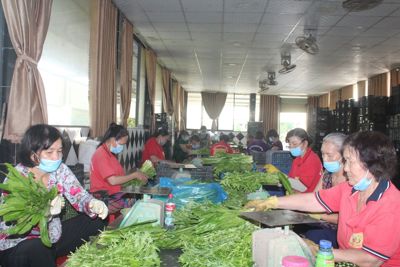 Phát huy vai trò kinh tế tập thể trong tái cơ cấu ngành nông nghiệp 