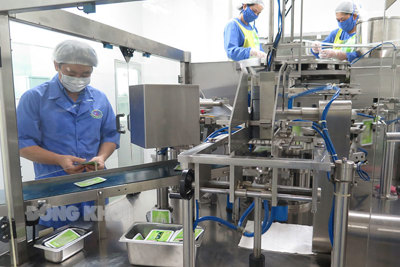 TP. Bến Tre phát triển công nghiệp chủ lực