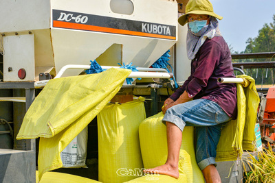 Nông dân và Hợp tác xã gặp khó trong sản xuất