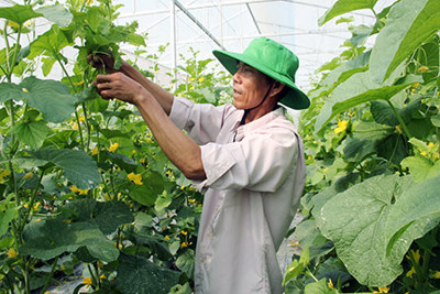 Ứng dụng công nghệ cao vào sản xuất nông nghiệp