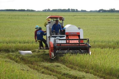 Phát triển kinh tế tập thể năng động, hiệu quả 