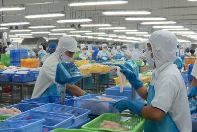 Sản xuất công nghiệp của tỉnh Đồng Tháp từng bước khôi phục
