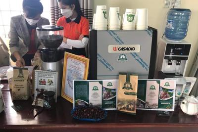 Đắk Lắk hỗ trợ 1.000 doanh nghiệp trên địa bàn tỉnh chuyển đổi số
