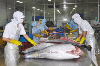 Doanh nghiệp cần được “tiếp sức” để khôi phục sản xuất