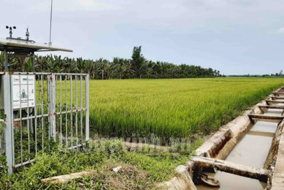 Quy định về điều kiện tách thửa, hợp thửa đất