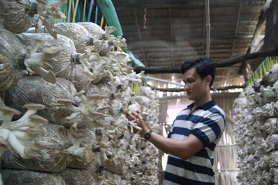 Đẩy mạnh xúc tiến đầu tư vào lĩnh vực nông nghiệp, nông thôn