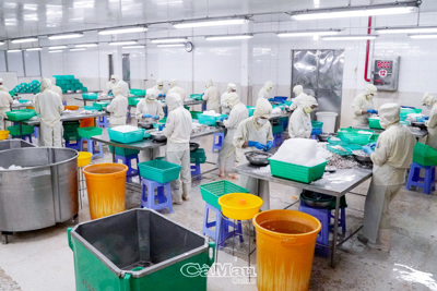 Xuất khẩu thuỷ sản: Một năm vượt khó