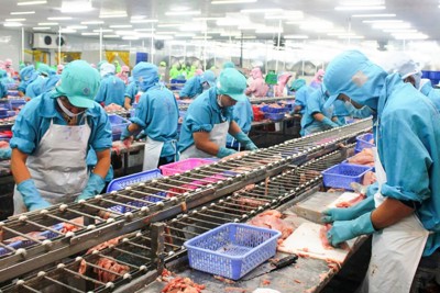 Thu nhập bình quân tháng của người lao động