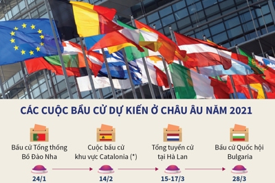 [Infographics] Các cuộc bầu cử dự kiến ở châu Âu năm 2021