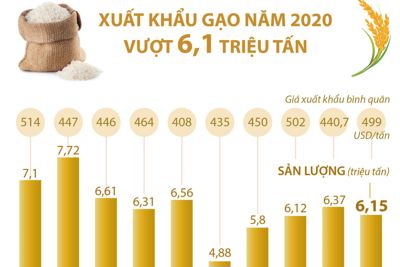 [Infographics] Năm 2020 xuất khẩu gạo của cả nước vượt 6,1 triệu tấn