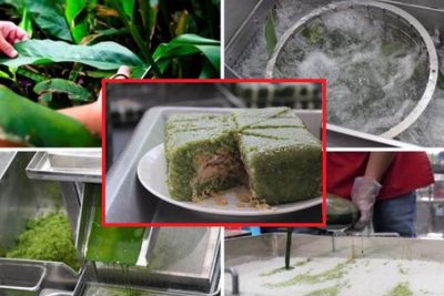 [Video] Gói bánh chưng bằng máy