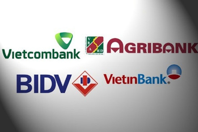 Hoàn thiện thẩm định tín dụng tại các ngân hàng thương mại cổ phần nhà nước ở Hà Giang