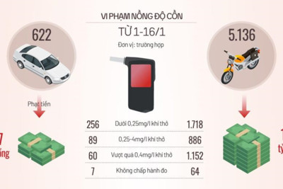 [Infographics] Gần 6.300 tài xế bị xử phạt vi phạm nồng độ cồn 