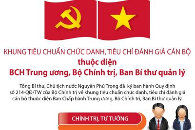 [Infographics] Khung tiêu chuẩn chức danh, tiêu chí đánh giá cán bộ ban chấp hành Đảng