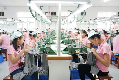 Cần chế tài xử phạt mạnh đối với  doanh nghiệp nợ và trốn đóng BHXH