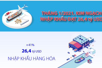 [Infographics] Tháng 1/2021, kim ngạch nhập khẩu đạt 26,4 tỷ USD