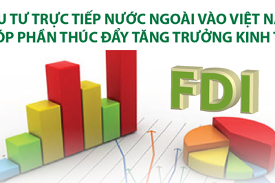 [Infographics] Đầu tư trực tiếp nước ngoài vào Việt Nam góp phần thúc đẩy tăng trưởng kinh tế