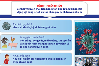 [Infographics] Dịch nCoV: Tìm hiểu về bệnh truyền nhiễm nhóm A