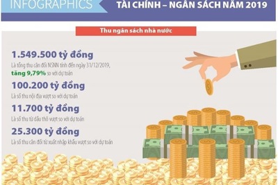 [Infographics] Số liệu tài chính - ngân sách năm 2019