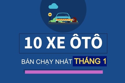 [Infographics] Top 10 mẫu xe ôtô bán chạy nhất thị trường tháng 1/2021