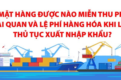 [Infographics] Mặt hàng được nào miễn thu phí hải quan và lệ phí hàng hóa khi làm thủ tục xuất nhập khẩu?