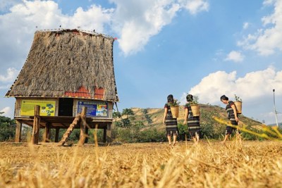 [Ảnh] Ngất ngây với vẻ đẹp hoang sơ nơi phố núi Gia Lai