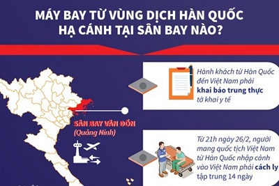 [Infographics] Máy bay từ vùng dịch Hàn Quốc hạ cánh tại sân bay nào?