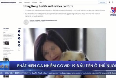 [Video] Phát hiện ca nhiễm COVID-19 đầu tiên ở thú nuôi