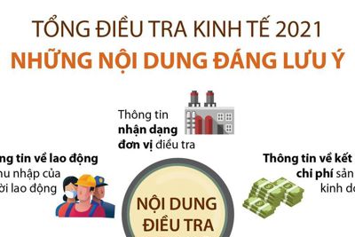 [Infographics] Tổng điều tra kinh tế 2021: Những nội dung đáng lưu ý