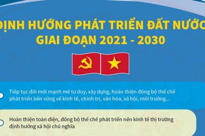 [Infographics] Định hướng phát triển đất nước giai đoạn 2021-2030 