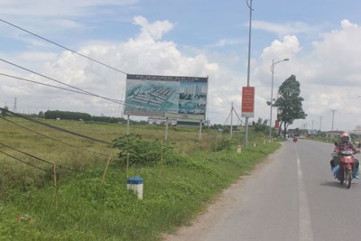 Yêu cầu Hà Nội xử lý hàng nghìn ha đất bỏ hoang ở Mê Linh