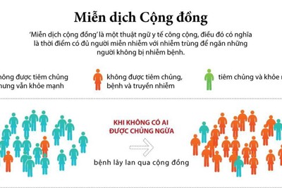 [Infographics] Tìm hiểu về thuật ngữ y tế "miễn dịch cộng đồng"