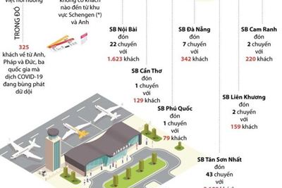 [Infographics] Đón gần 1.000 người Việt từ châu Âu trở về nước