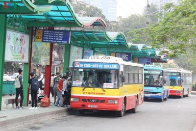 [Infographics] Hà Nội giảm 900 lượt xe buýt mỗi ngày để phòng COVID-19