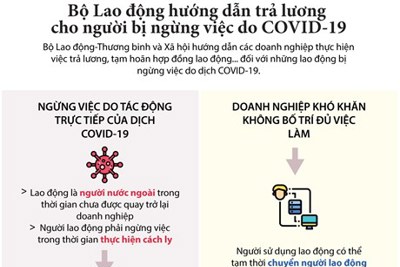 [Infographics] Người bị ngừng việc do COVID-19 được chi trả lương như thế nào?