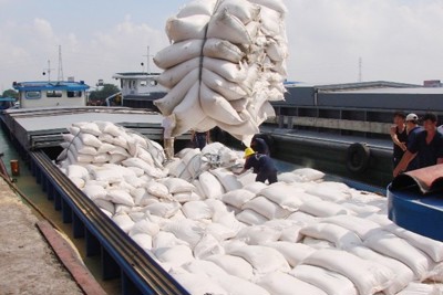 Hoàn thiện hệ thống kiểm soát chu trình mua hàng  tại doanh nghiệp chế biến và xuất khẩu gạo