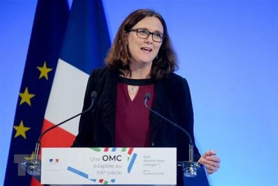 EU nêu "giới hạn đỏ" trong các cuộc đàm phán thương mại với Mỹ