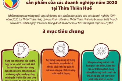 [Infographics] 9 mục tiêu nâng cao năng suất và chất lượng sản phẩm của các doanh nghiệp năm 2020 tại Thừa Thiên Huế