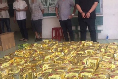 [Infographics] Liên tiếp triệt phá nhiều vụ án ma túy “khủng” từ đầu năm tới nay